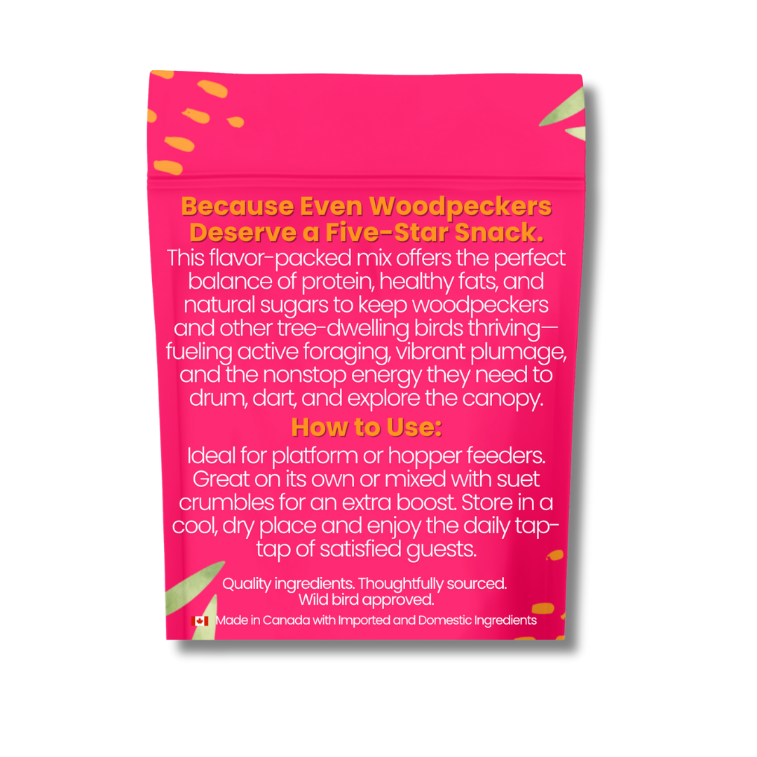 Woodpecker’s Wonder